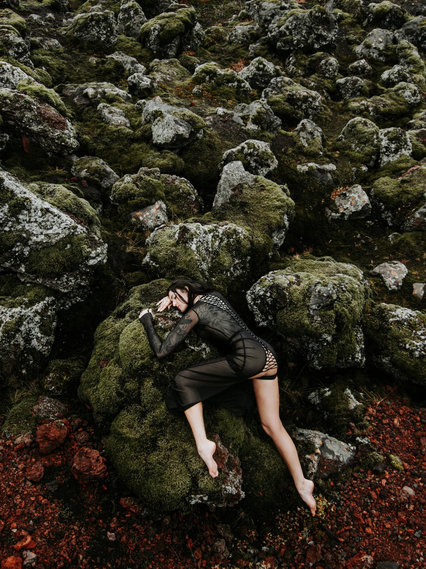 Iceland Wild — photography